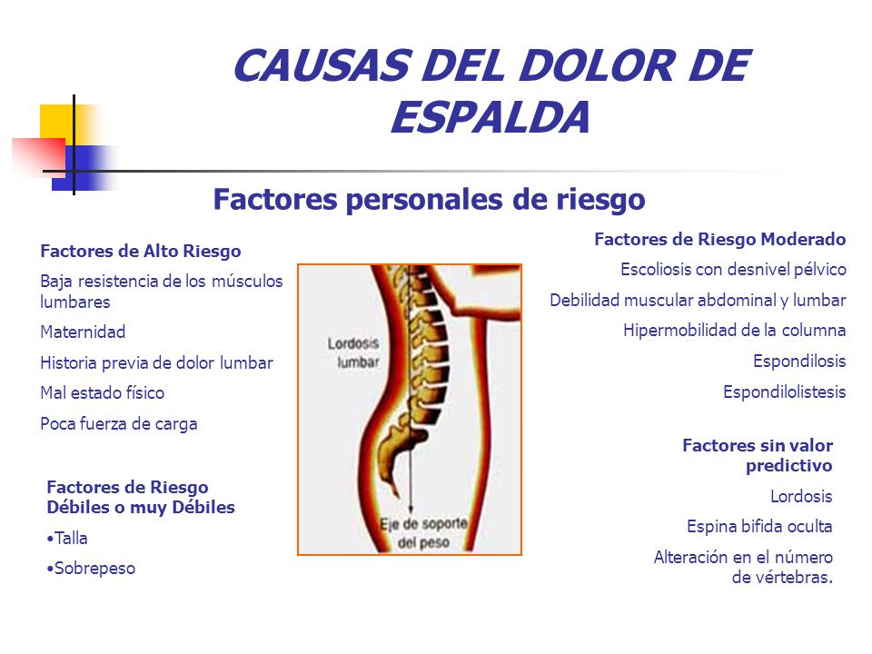 El dolor en el lado derecho sobre la espalda en lo bajo del vientre